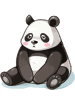 C_Baby_Panda